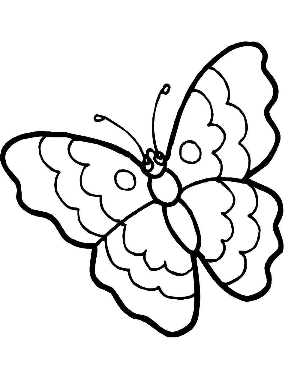 Tranh tô màu con bướm đơn giản đẹp nhất 