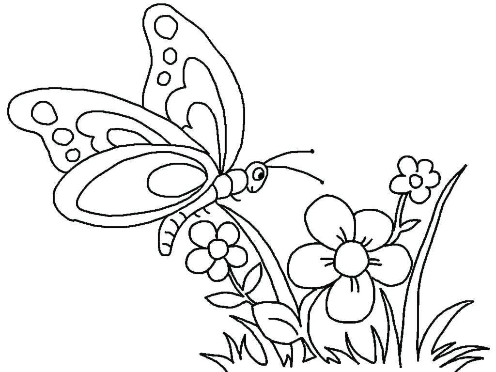 Tranh tô màu con bướm và bông hoa