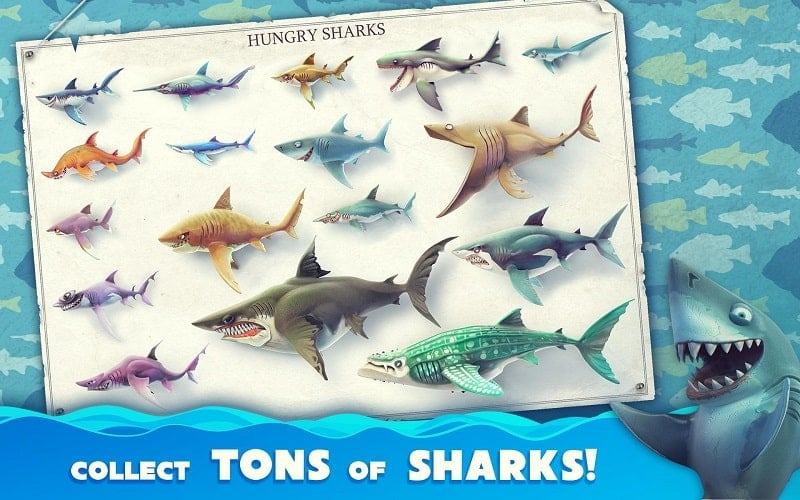 Tải xuống bản mod Hungry Shark World