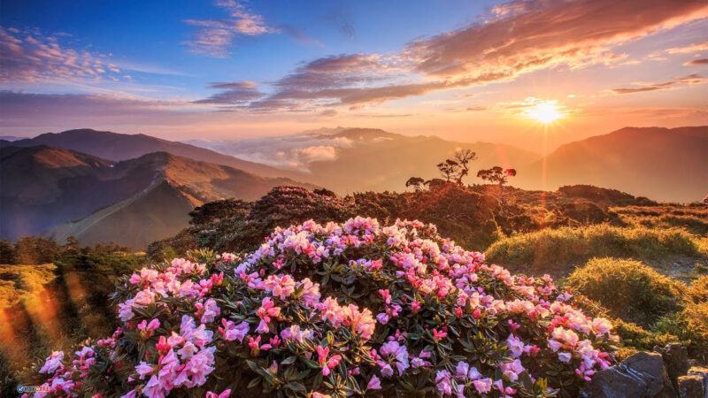 Hình ảnh phong cảnh thiên nhiên đẹp nhất Đài Loan