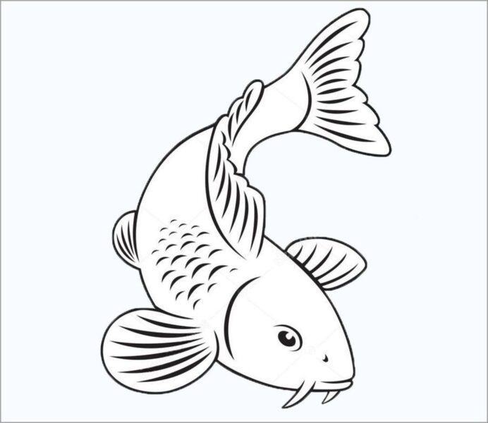Cách Vẽ Cá Chép Đơn Giản, Hình vẽ Cá Chép Đẹp, Dễ Vẽ Nhất - Trung ...