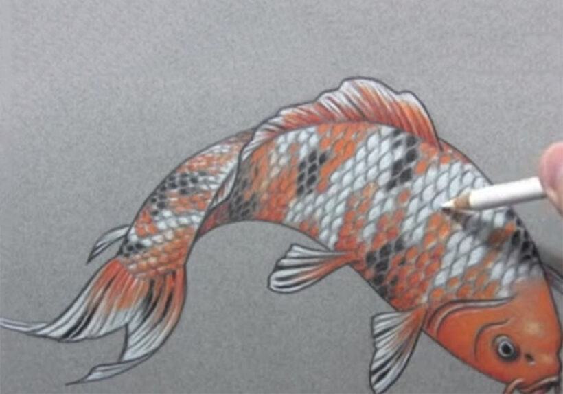 Cách vẽ cá chép bằng bút màu đẹp
