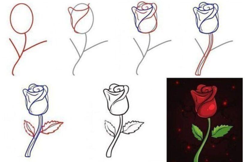 Cách vẽ hoa hồng đẹp