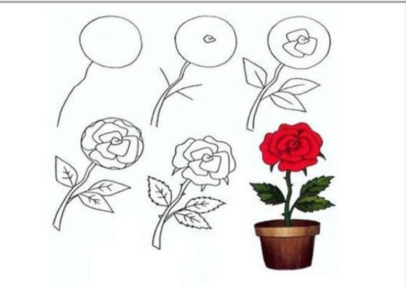 Cách vẽ hoa hồng dễ làm