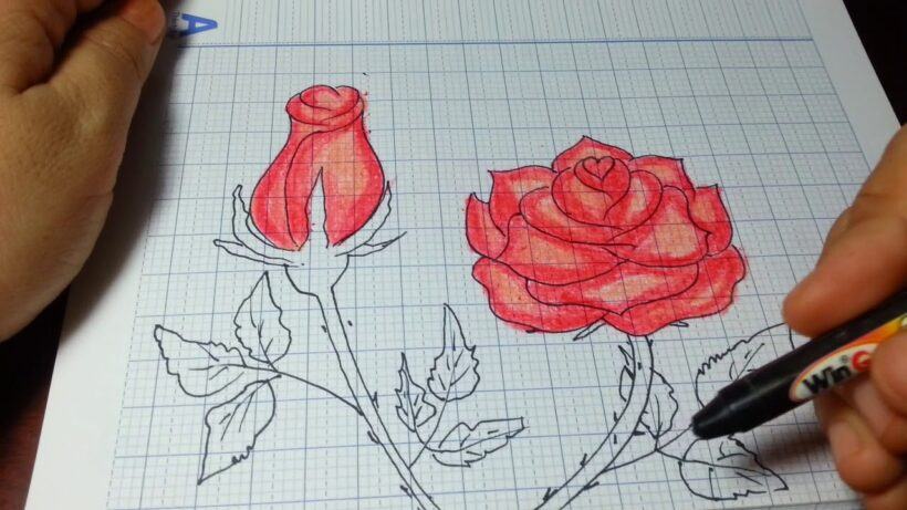 Làm thế nào để vẽ một bông hồng