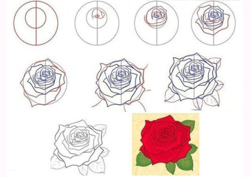 Làm thế nào để vẽ một bông hoa hồng