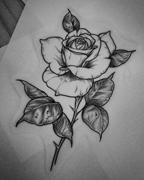 vẽ hoa hồng