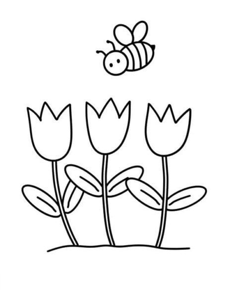 Tranh tô màu hoa tulip và con ong
