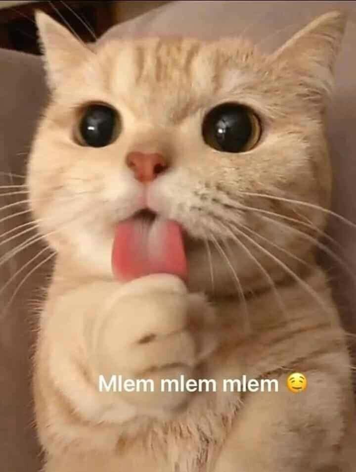 Mlem mlem