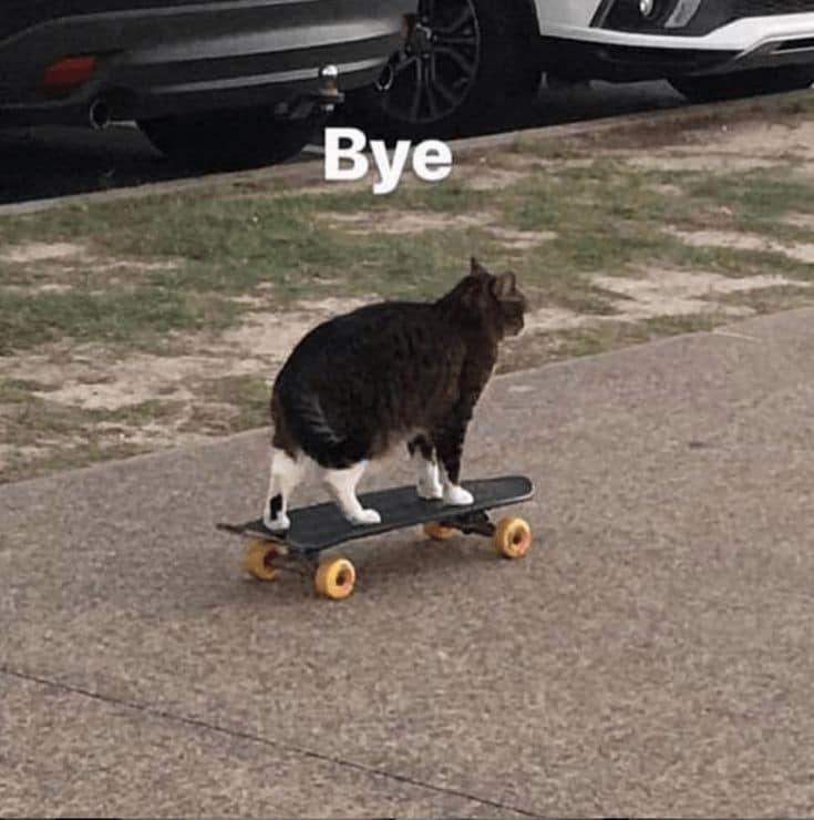 Meme mèo trượt ván, tạm biệt