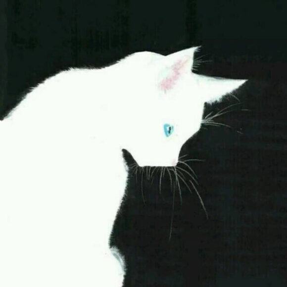 Chân dung con mèo đầu trắng