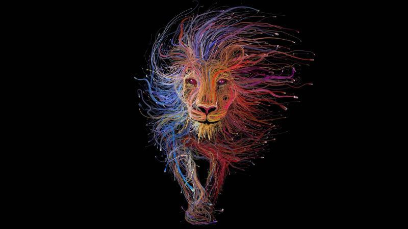 Hình nền sư tử đầy màu sắc