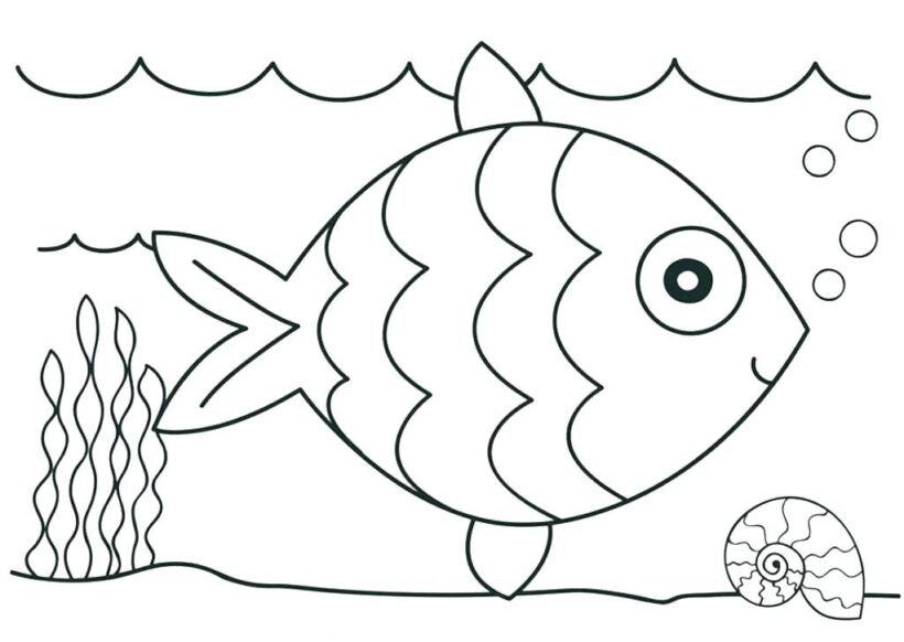 Tranh tô màu con cá đẹp cho bé tập tô (5)