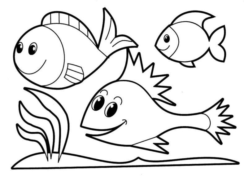 Tranh tô màu con cá ngộ nghĩnh cho bé tập tô màu (3)