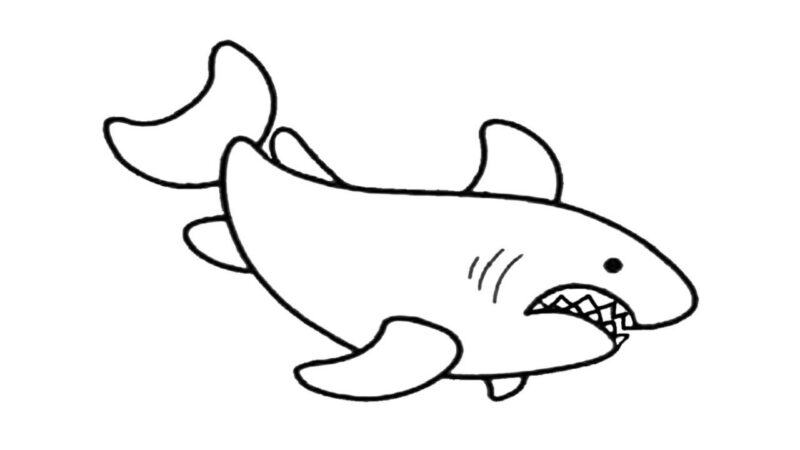 Tranh tô màu cá mập