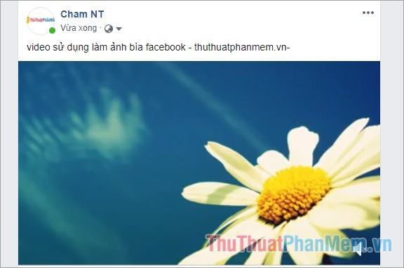 Bạn muốn tạo một video cover Facebook chuẩn mà không biết kích thước phải đúng như thế nào? Đừng lo, video của chúng tôi sẽ hướng dẫn bạn tất cả những kích thước cần thiết để tạo một video cover Facebook đẹp và chuyên nghiệp. Từ đó giúp trang của bạn trở nên ấn tượng và thu hút khách hàng hơn.