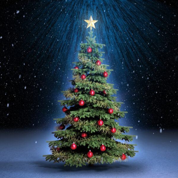 Hình đại diện cây thông Noel phát sáng