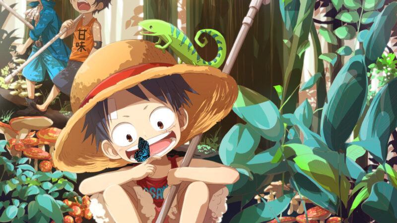 Hình nền one piece 4K dễ thương luffy đang chơi