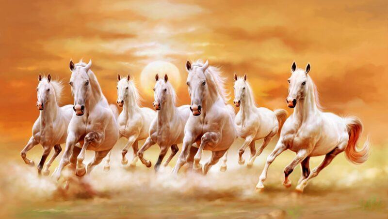 Hình ảnh đàn ngựa chạy theo đàn