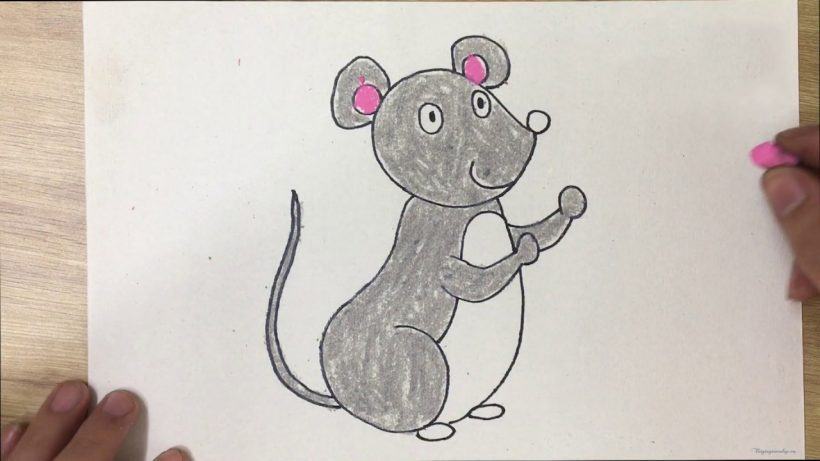 Cách vẽ con vật dễ thương - Con chuột