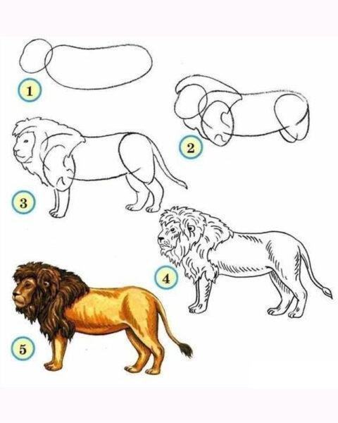Làm thế nào để vẽ một con sư tử