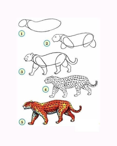 Làm thế nào để vẽ một con báo