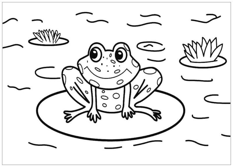 Tranh tô màu con vật con ếch