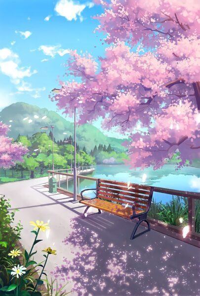 Hình ảnh hoa anh đào anime dưới ánh mặt trời