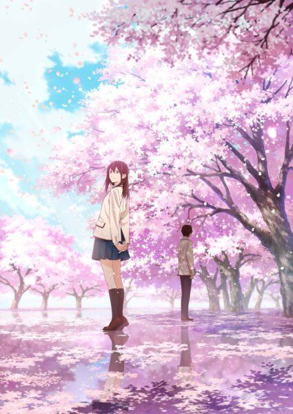 Hình ảnh hoa anh đào anime và cặp đôi