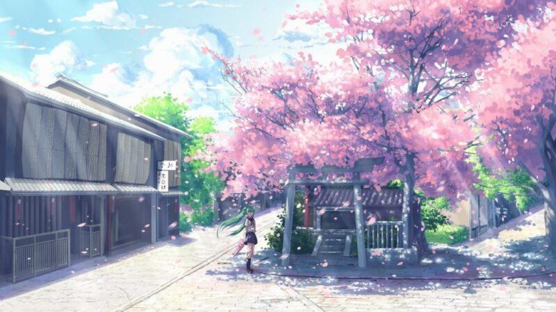 Hình nền hoa anh đào anime Nhật Bản