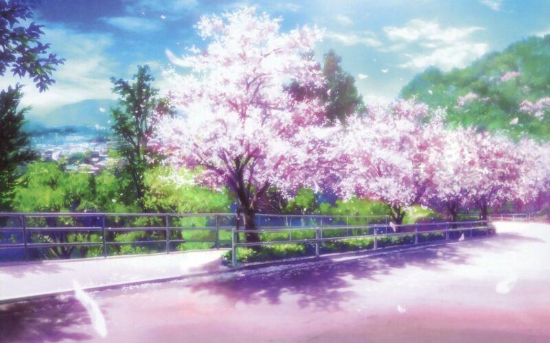 Hình ảnh anime hoa anh đào đẹp chất lượng