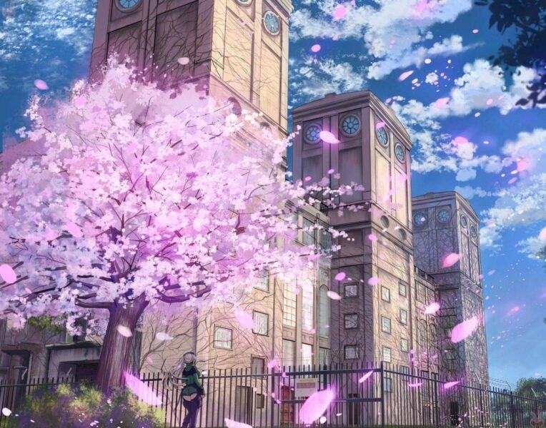 Tải ảnh anime hoa anh đào Nhật Bản về làm hình nền điện thoại
