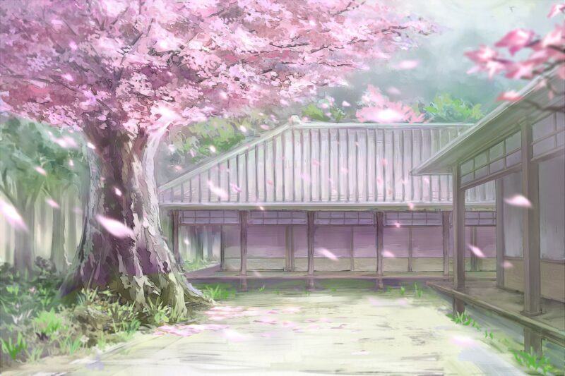 Hình ảnh ngôi nhà và hoa anh đào trong anime