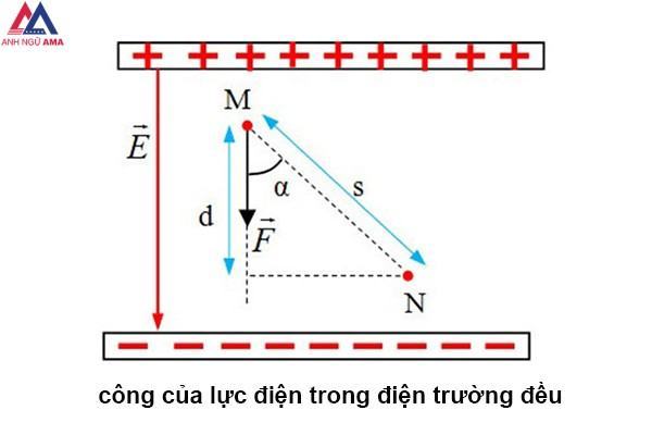 trái ngược