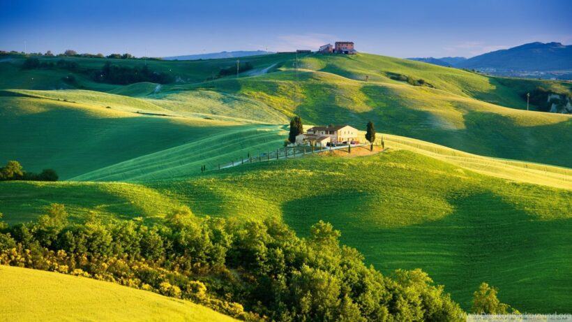 hình ảnh đẹp của đồng cỏ sáng sớm ở italia