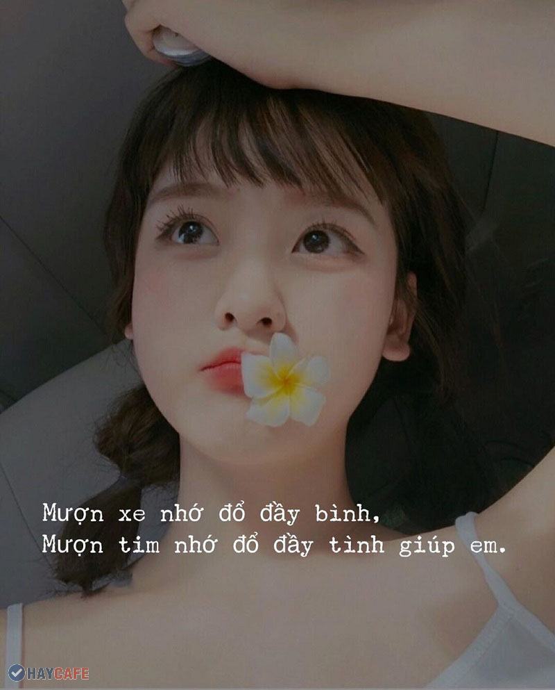 Stt kaki để lắng nghe crush tuyệt vời của bạn