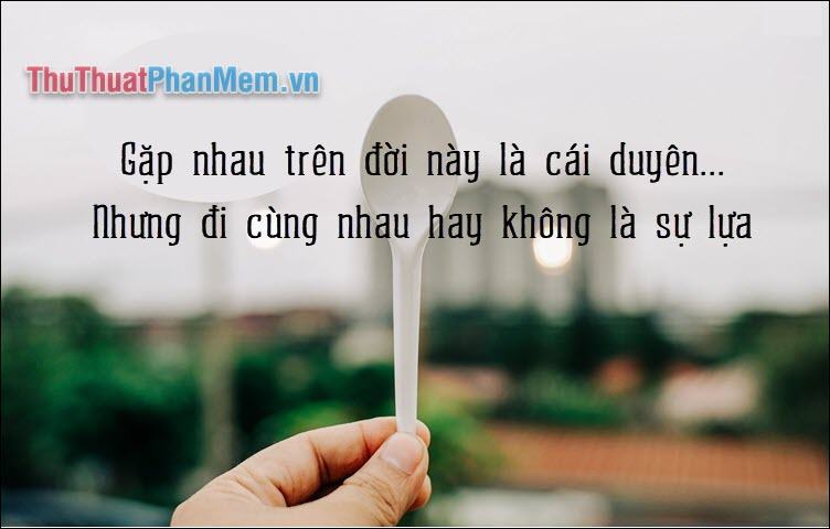 Gặp nhau trên đời này là cái duyên Nhưng đi cùng nhau hay không là sự lựa chọn