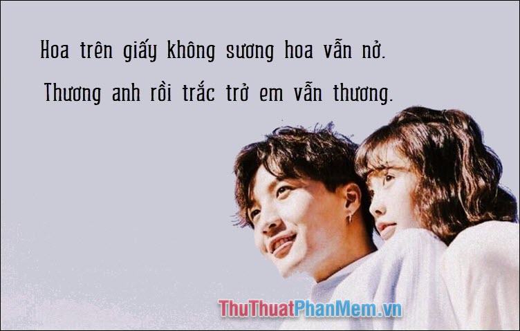 Hoa trên giấy không sương hoa vẫn nở