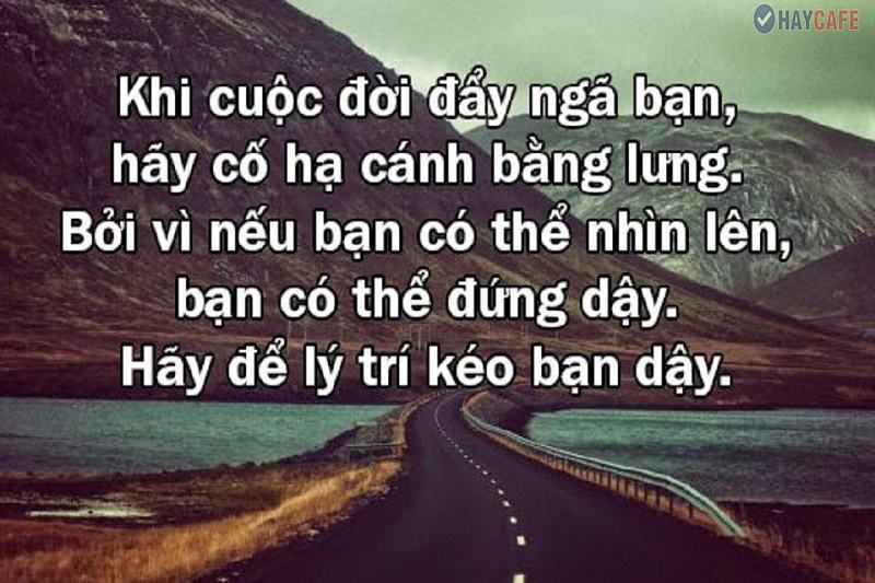 Những câu nói dạy đời theo hướng trải nghiệm và cảm nhận