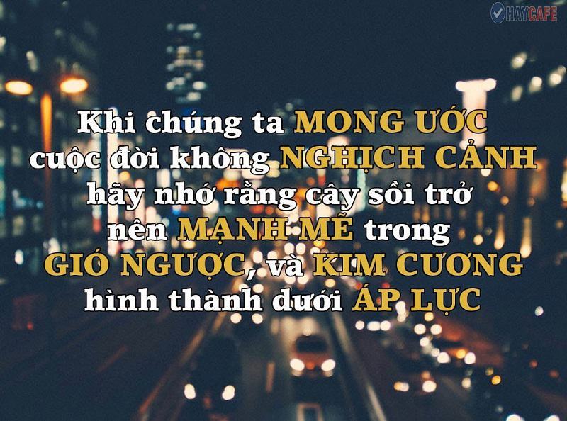 Những câu nói dạy đời bạn cần ghi nhớ không quên