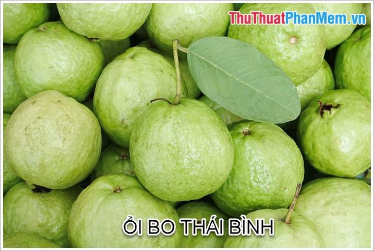 Ổi Bò Thái Bình