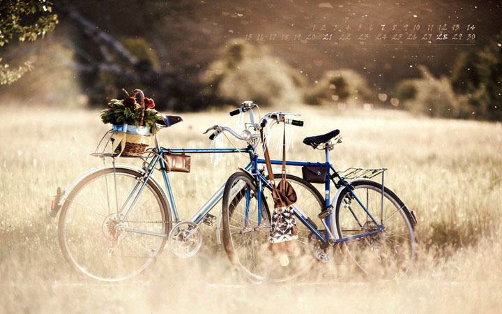 Hình ảnh xe đạp tình yêu