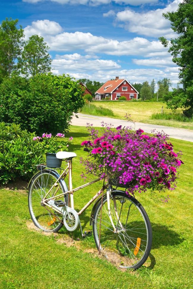 Hình ảnh xe đạp trang trí nhà cửa