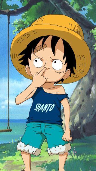 Hình ảnh Luffy hai chiều