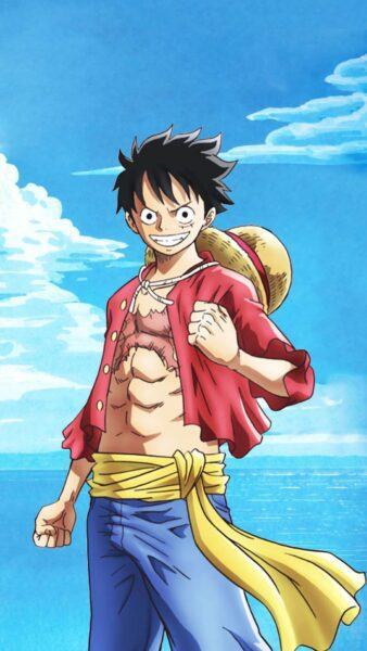 hình luffy