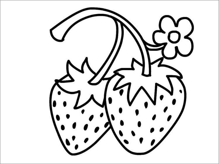 Tranh vẽ hoa quả đen trắng cho bé tô màu (4)