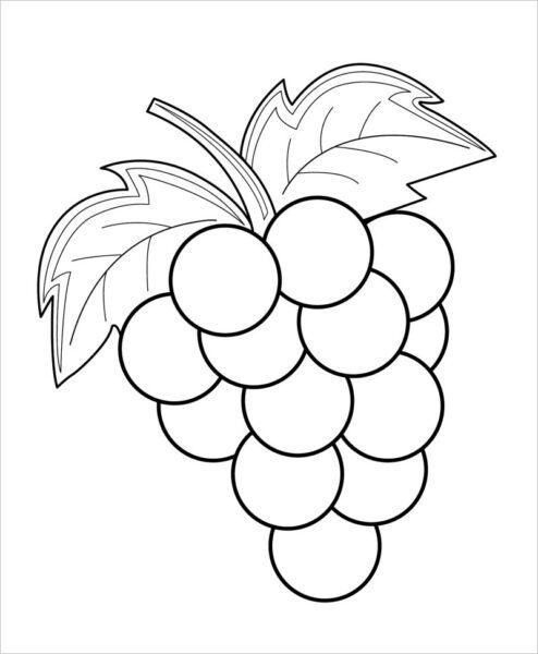 Tranh vẽ trái cây trắng đen cho bé tô màu (1)