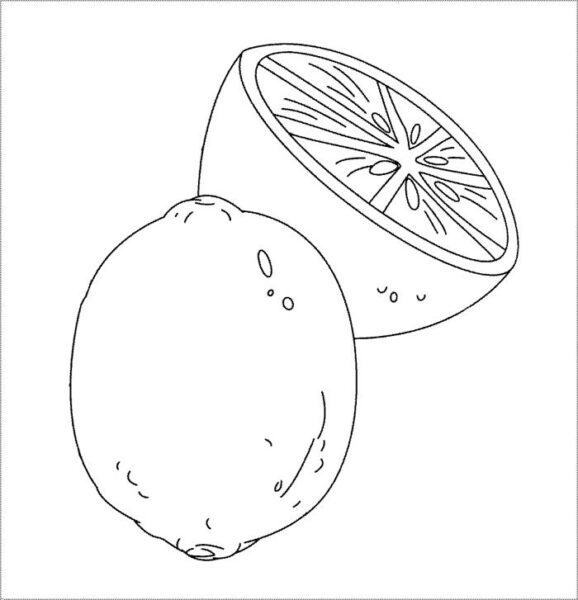 Tranh tô màu trái cây đơn giản cho bé tập tô màu (2)