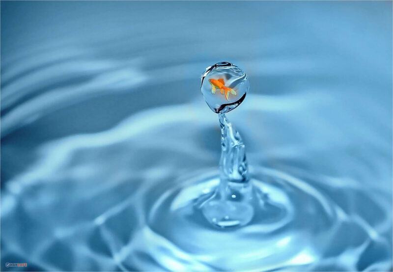 hình ảnh giọt nước đẹp
