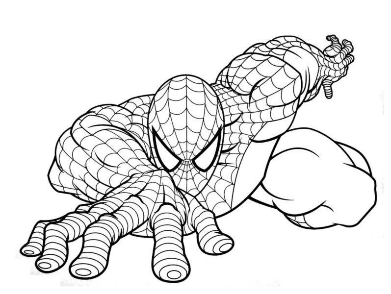 Tranh vẽ người nhện đen trắng cho bé tô màu (1)